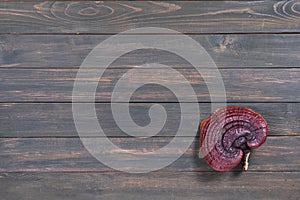 Ganoderma lucidum mushroom on wood table