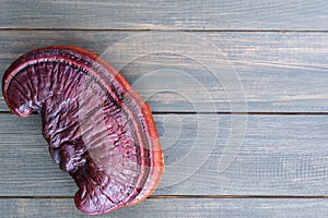 Ganoderma lucidum mushroom on wood table