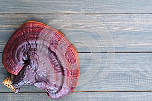 Ganoderma lucidum mushroom on wood table