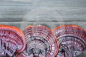 Ganoderma lucidum mushroom on wooden floor