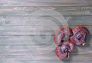 Ganoderma lucidum mushroom on wooden floor