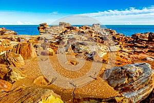 Gantheaume Point Dinosaur footprints