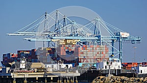 Gantry cranes in a modern industrial shipping harbor operation load a container ship in the Port of Los Angeles