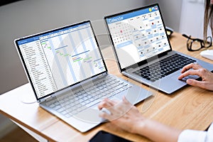 Gantt Employee Time Sheet Chart