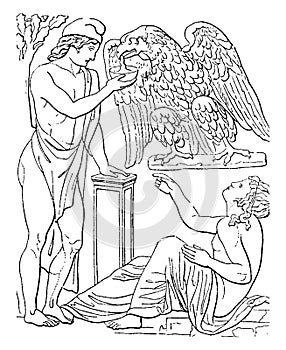 Ganymede and Eagle vintage illustration