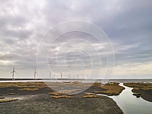 Gaomei wetland a tourist attraction with wind powered electicity generator in the background