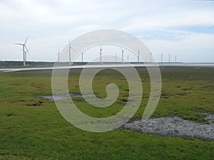 Gaomei Wetlands in Taichung Taiwan