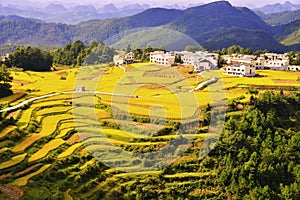 Gaopo terrace at guizhou china