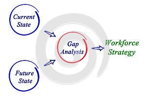 Gap Analysis and Workforce Strategy