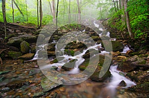 Gap Creek cascades, Cumberland Gap National Park