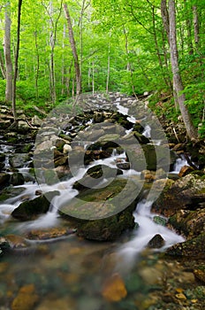 Gap Creek cascades, Cumberland Gap National Park