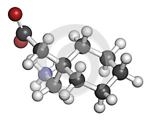 Gapapentin drug molecule. Used in treatment of seizures and neuropathic pain. Atoms are represented as spheres with conventional