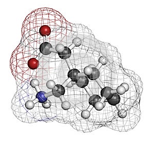 Gapapentin drug molecule. Used in treatment of seizures and neuropathic pain. Atoms are represented as spheres with conventional