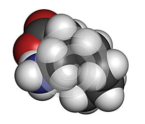 Gapapentin drug molecule. Used in treatment of seizures and neuropathic pain. Atoms are represented as spheres with conventional