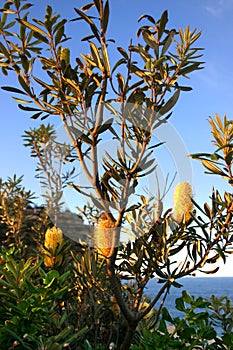 The Gaps, Watson Bay, Sydney