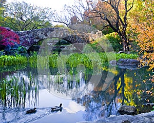 Gapstow bridge in Central Park photo