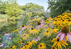 Gapstow bridge Central Park, New York City photo