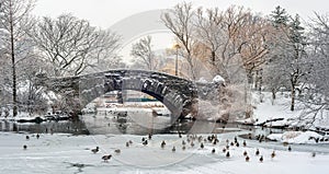 Gapstow Bridge in Central Park snow storm