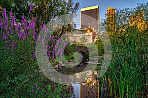 Gapstow Bridge in Central Park, summer