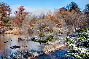 Gapstow bridge during winter, Central Park New York City. USA