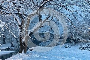 Gapstow bridge during winter, Central Park New York City. USA