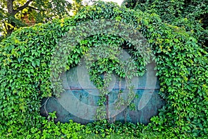 A garage with a metal door overgrown with vines