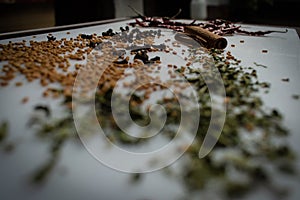 Garam masala powder in bowl and it`s ingredients colourful spices. Served over moody background. selective focus