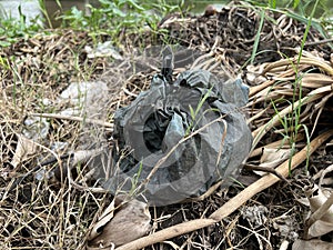 Garbage bag, trash in the forest.
