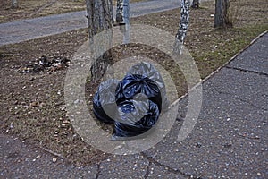 Garbage bags on the street in Russia. Territory cleaning.
