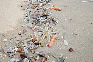 Garbage on a beach, environmental pollution