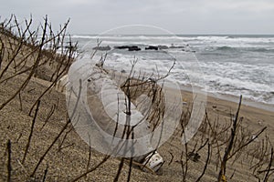 Garbage on a beach, PET bottle