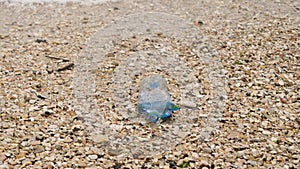 Garbage at beach: Plastic bottle