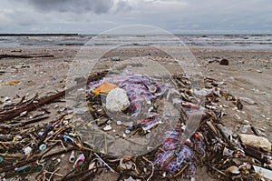 Garbage the beach sea plastic bottle lies on the beach and pollutes the sea and the life of marine life Spilled garbage on the