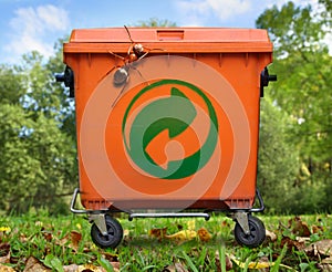 Garbage bin and big ant