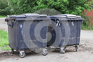 Garbage bins near green trees in a city