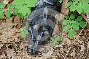 Garbage from a black and dirty plastic bottle in the grass and leaves in the open air