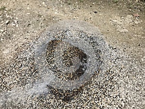 garbage burning in the backyard