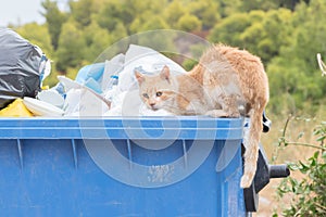 Garbage container in Greece