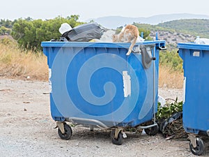 Garbage container in Greece