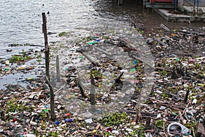 Garbage crisis in Chao Phraya River.