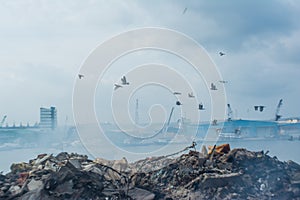 Garbage dump area full of smoke, litter, plastic bottles,rubbish and other trash at the Thilafushi tropical island