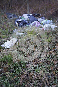 Garbage dump in the autumn forest. Ecological disaster, irresponsibility and negligence of man. Plastic and bags closeup photo