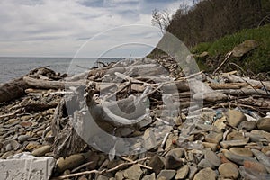Garbage dump on the coastline, plastic, foam dry logs - an environmental disaster.