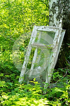 Garbage dump in the forest illegal dumping of garbage violates the ecology of the world