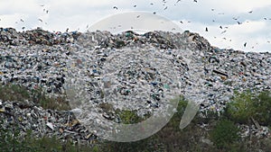 Garbage Dump Hill with Birds Flying Under It