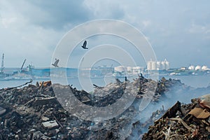 Garbage dump zone full of smoke, litter, plastic bottles,rubbish and other trash at the Thilafushi tropical island