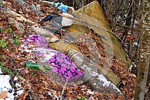 Garbage dumped in the woods in winter