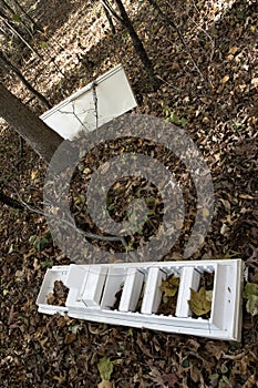 Garbage - Dumping - Wilderness