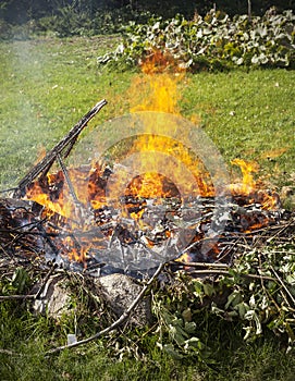 Garbage in fire, garden illegal burn refuse