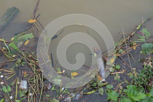 Garbage floating in river, Water pollution. Ecological problem, background